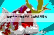 ggpoker扑克进不去（gg扑克真是坑）