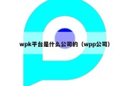 wpk平台是什么公司的（wpp公司）