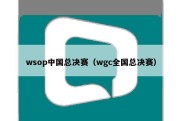 wsop中国总决赛（wgc全国总决赛）