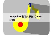 newpoker是什么平台（poker site）