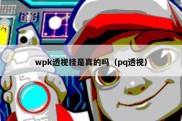 wpk透视挂是真的吗（pq透视）