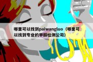 哪里可以找到paiwangluo（哪里可以找到专业的甲醛检测公司）