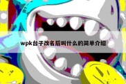 wpk台子改名后叫什么的简单介绍