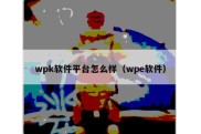 wpk软件平台怎么样（wpe软件）