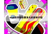 wpk软件取款要多久的简单介绍