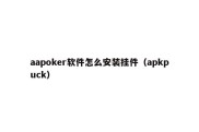 aapoker软件怎么安装挂件（apkpuck）