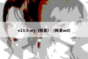 v13.9.wy（网易）（网易wd）