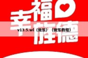 v13.5.wl（微乐）（微乐教程）