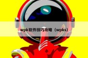 wpk软件技巧攻略（wpks）