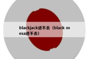 blackjack进不去（black mesa进不去）