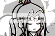 wpk软件确实有挂（wp 插件）