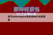 关于paiwangluo改名后叫什么的信息