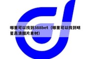 哪里可以找到388bet（哪里可以找到明星高清图片素材）