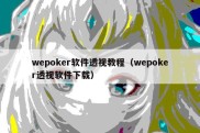 wepoker软件透视教程（wepoker透视软件下载）