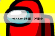 v13.3.sy（术语）（术语sj）