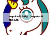 wepoker软件平台（wepoker平台怎么样）