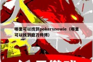 哪里可以找到pokersnowie（哪里可以找到磨刀师傅）