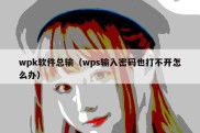 wpk软件总输（wps输入密码也打不开怎么办）