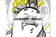 wpk能透视吗（透视wps）