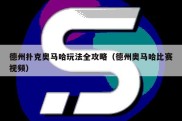 德州扑克奥马哈玩法全攻略（德州奥马哈比赛视频）