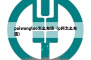 paiwangluo怎么充值（p网怎么充值）