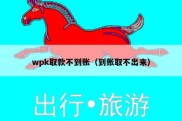 wpk取款不到账（到账取不出来）