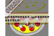 gg扑克软件的中文名字（gg扑克软件的中文名字怎么改）