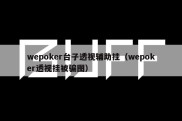 wepoker台子透视辅助挂（wepoker透视挂被骗图）