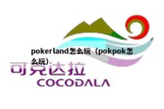 pokerland怎么玩（pokpok怎么玩）