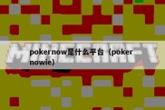 pokernow是什么平台（poker nowie）