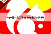 wpk是什么公司的（wp是什么牌子）